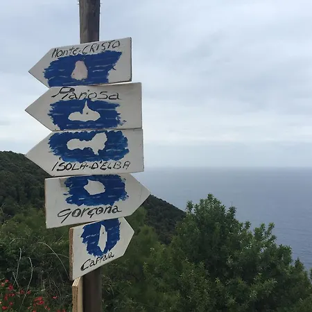 Se@ * Πιομπίνο